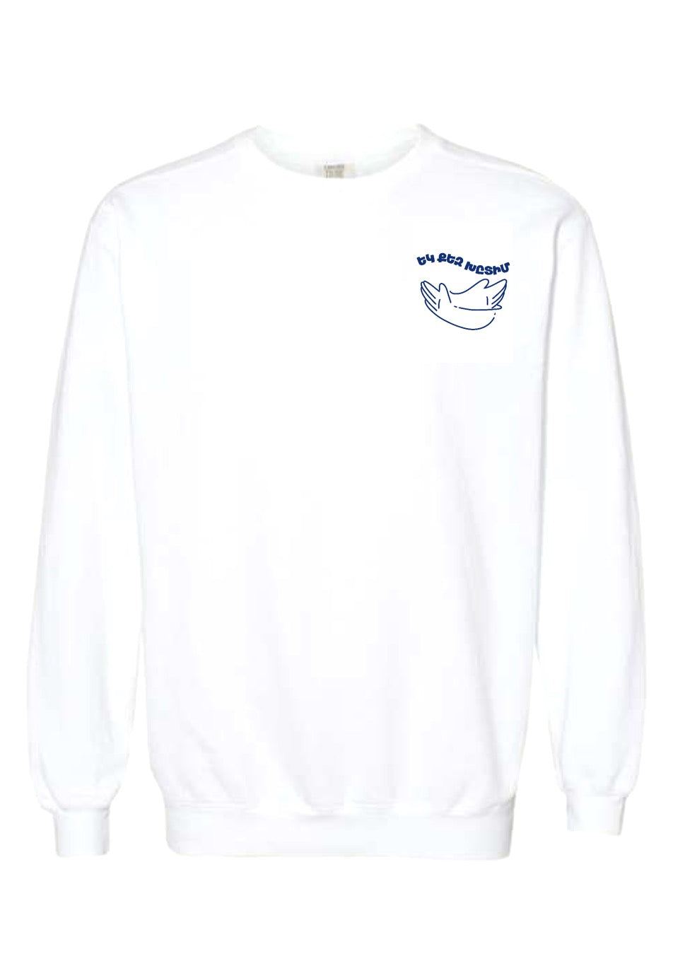 "ԵԿ ՔԵԶ ՔԸԼՈԼՒՄ" Sweatshirt